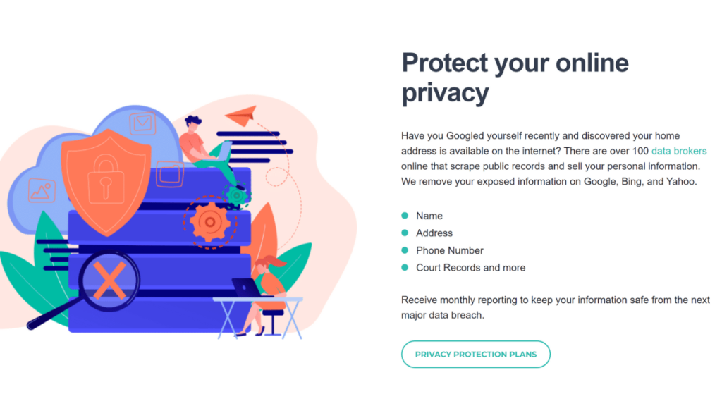 new reputation online privacy